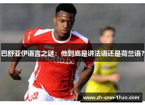 巴舒亚伊语言之谜：他到底是讲法语还是荷兰语？