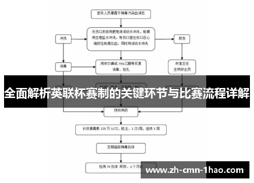 全面解析英联杯赛制的关键环节与比赛流程详解