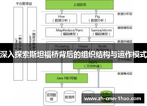 深入探索斯坦福桥背后的组织结构与运作模式